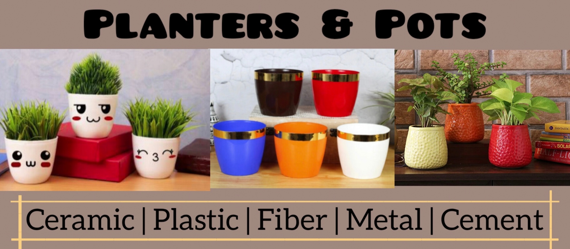 Saniya Nursery (One Stop For All Your Garden Needs)