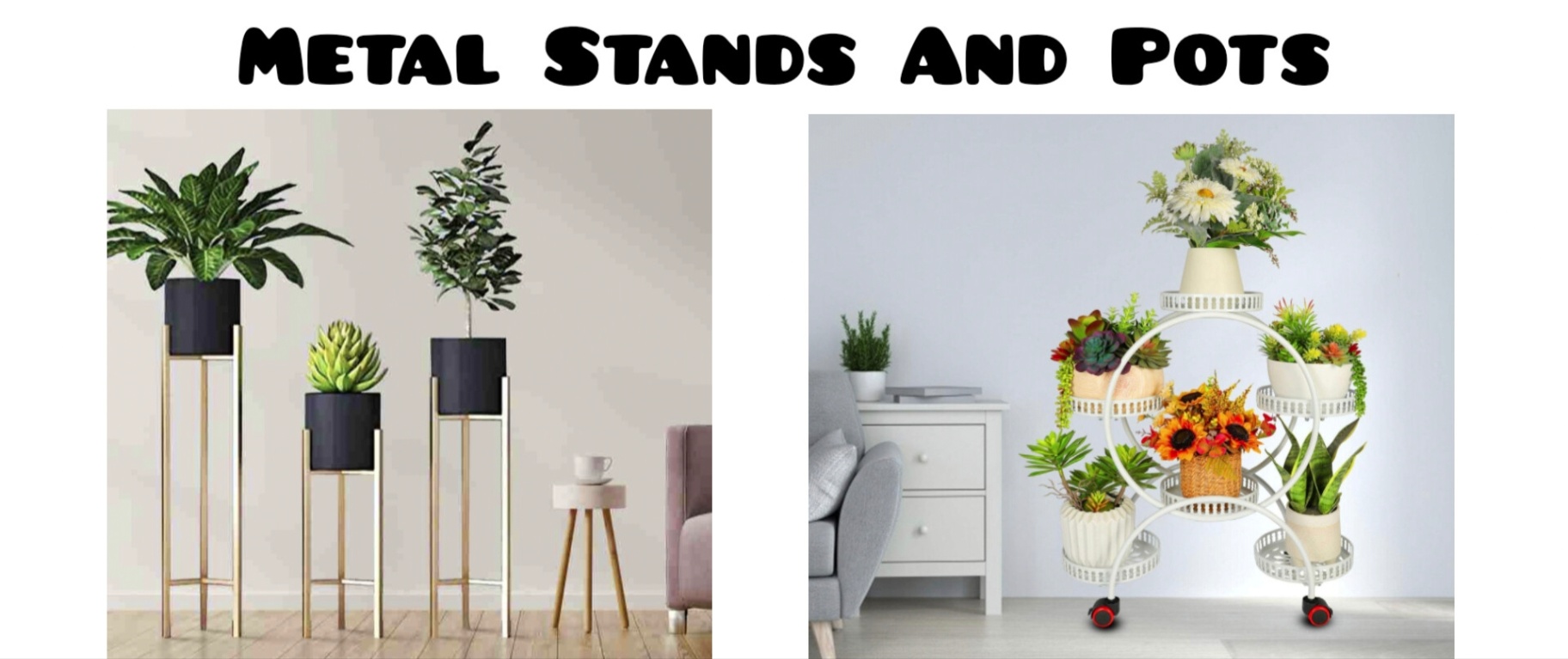 Saniya Nursery (One Stop For All Your Garden Needs)