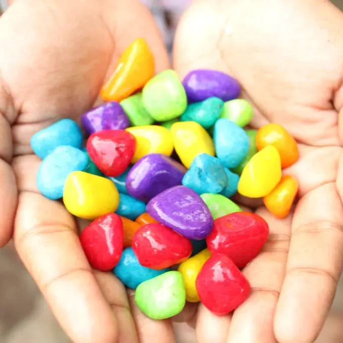 Saniya Nursery (One Stop For All Your Garden Needs)