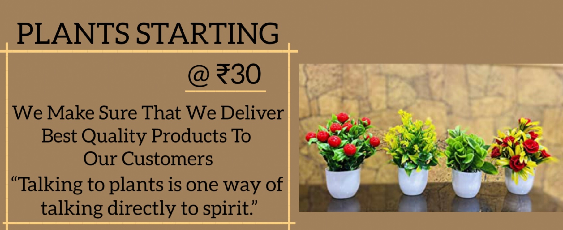 Saniya Nursery (One Stop For All Your Garden Needs)